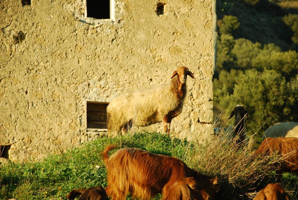 Experience Il Paesino 호텔 Licodia Eubea 외부 사진